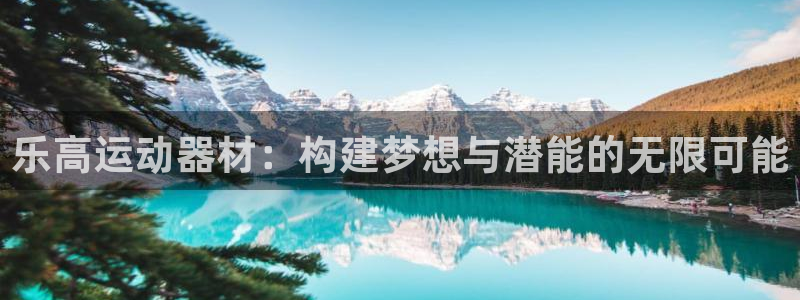 意昂体育4招商：乐高运动器材：构建梦想与潜能的无限可能