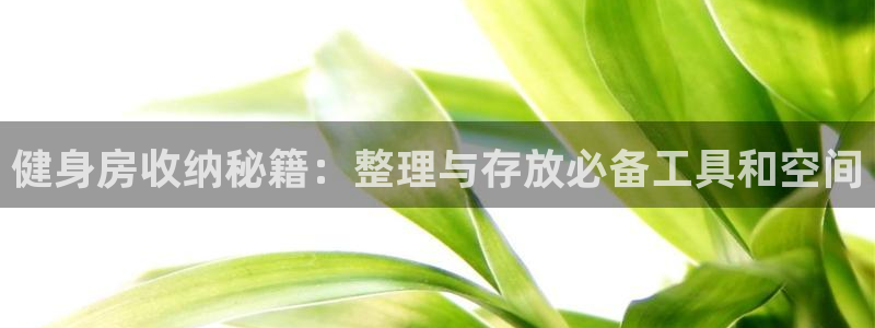意昂4集团简介：健身房收纳秘籍：整理与存放必备工具和空间