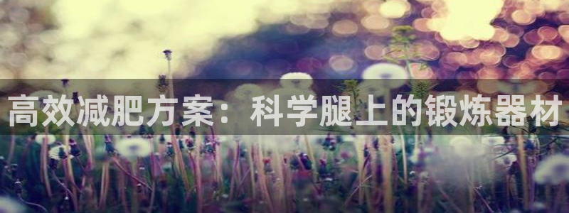 意昂体育4平台：高效减肥方案：科学腿上的锻炼器材