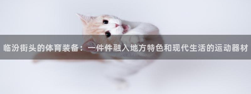 意昂体育4联系电话：临汾街头的体育装备：一件件融入地方特色和