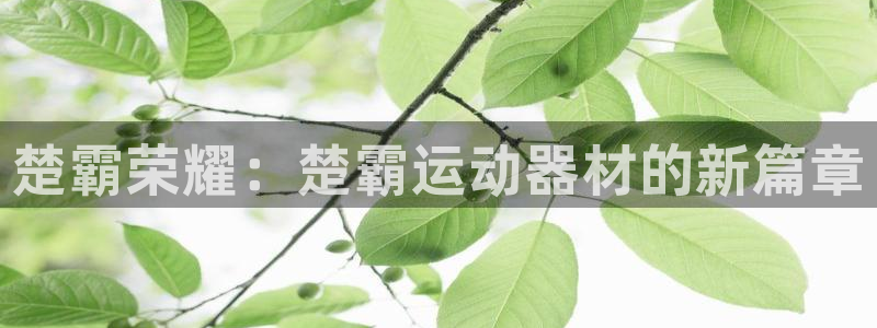 意昂体育4招商：楚霸荣耀：楚霸运动器材的新篇章
