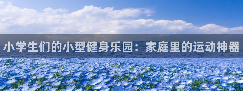意昂体育4平台是正规平台吗知乎：小学生们的小型健身乐园：家庭