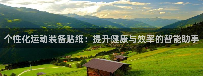 意昂4娱乐是那个系列的台子：个性化运动装备贴纸：提升健康与效
