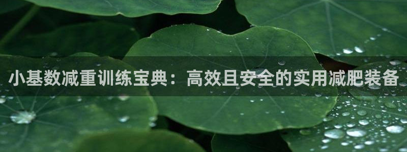 意昂4开户：小基数减重训练宝典：高效且安全的实用减肥装备