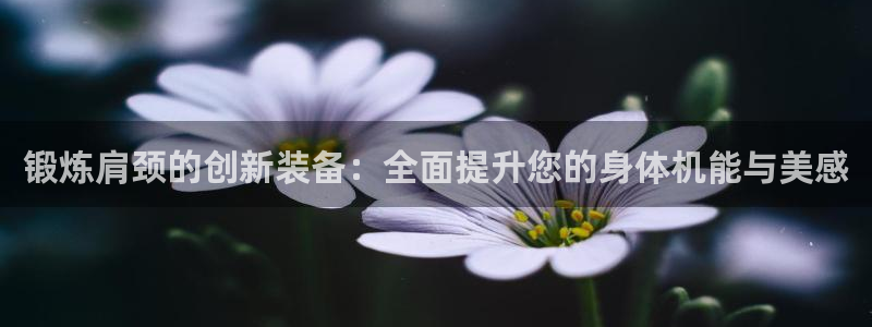 意昂4新能源：锻炼肩颈的创新装备：全面提升您的身体机