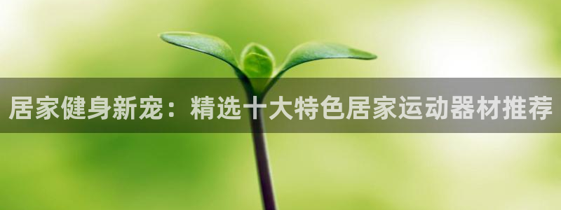 意昂4神州：居家健身新宠：精选十大特色居家运动器材推荐