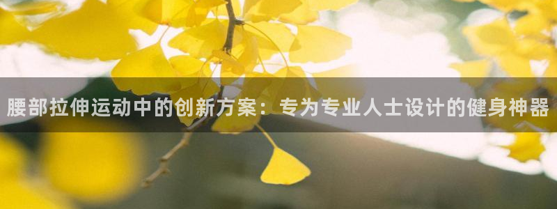 意昂体育4招商电话号码是多少啊：腰部拉伸运动中的创新方案：专